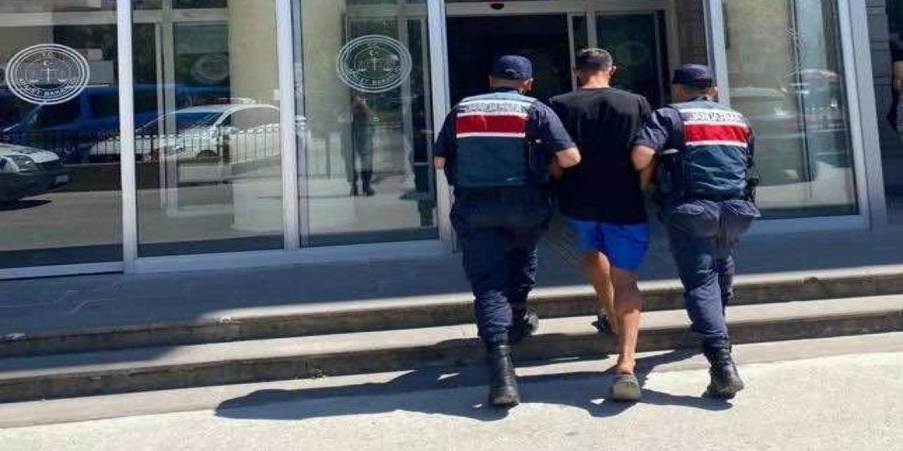Göçmen Kaçakçısı Jandarmaya Takıldı