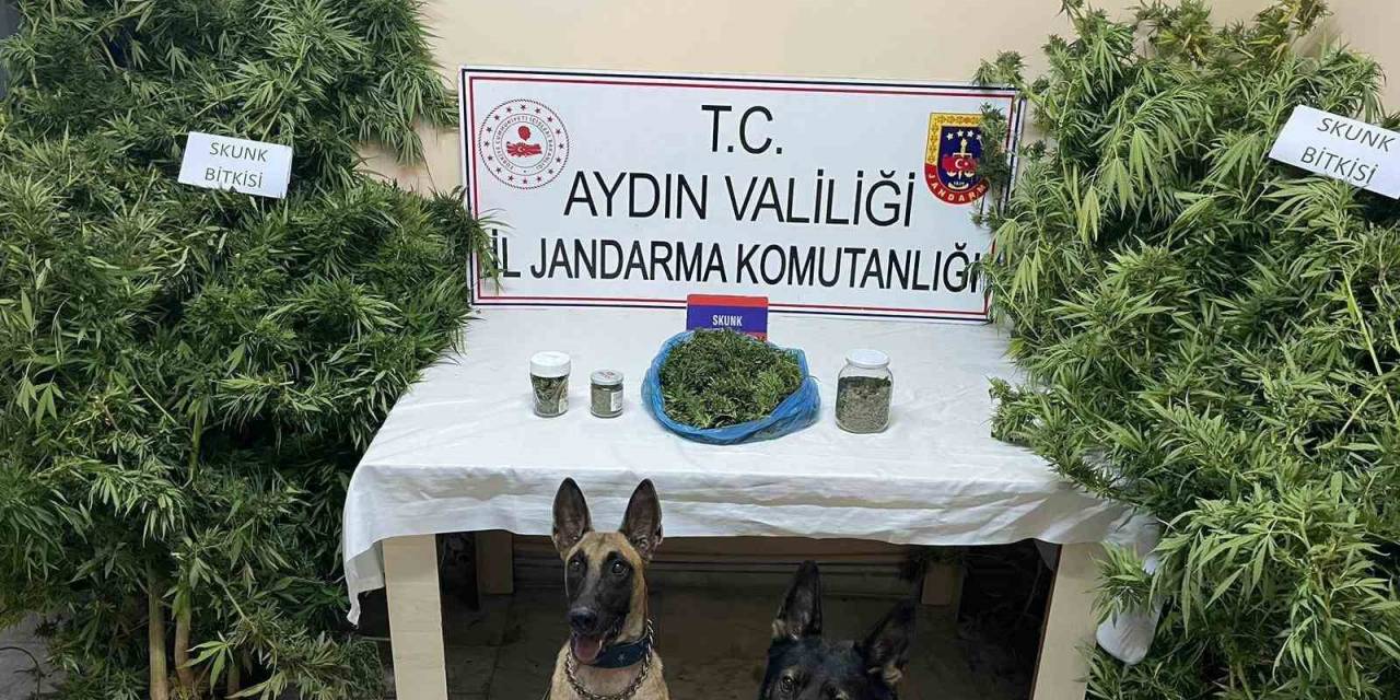 Bozdoğan’da Uyuşturucu Operasyonu