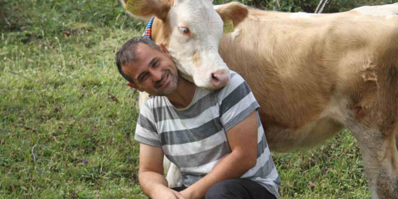 Beslediği Danalara Huylarına Göre İsrail, Fransa, Yunanistan Ve Abd Devlet Adamlarının Adını Verdi