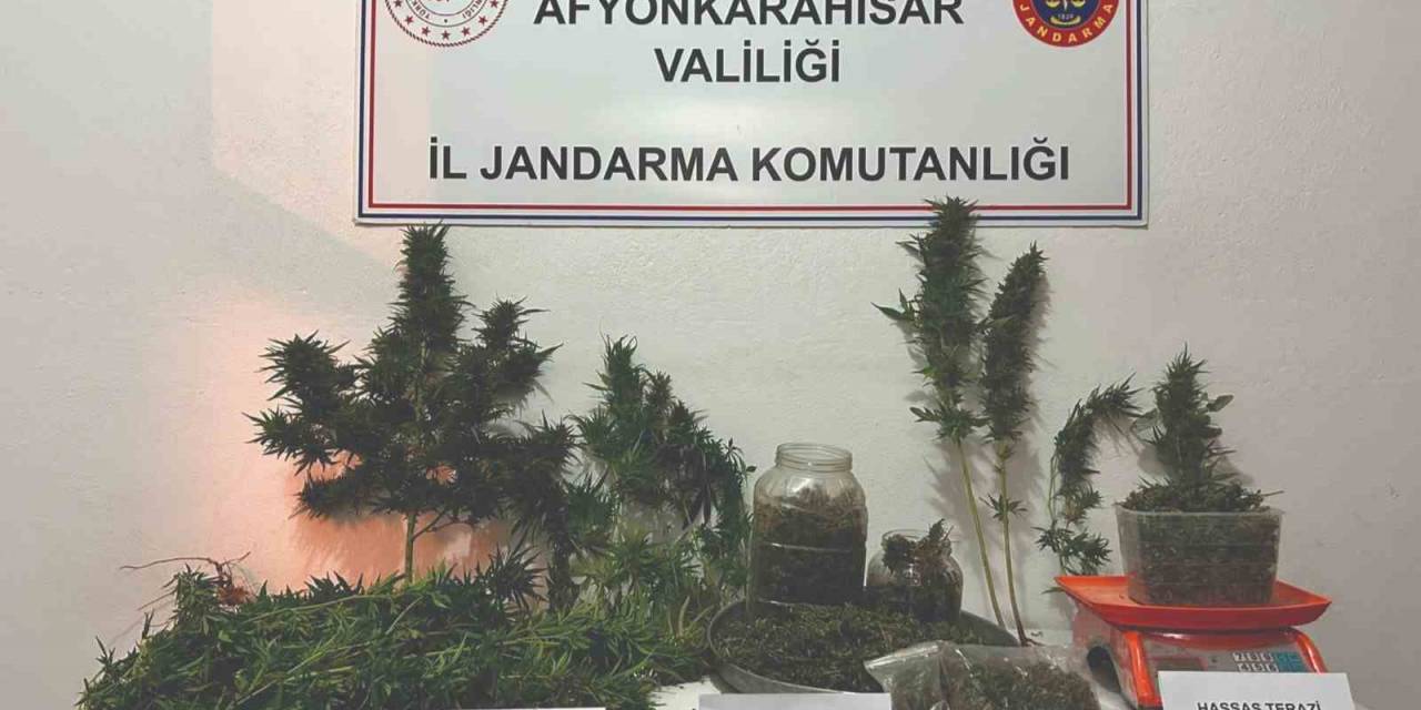 Jandarma 2 Kilogram Esrar Ve Kenevir Ele Geçirdi