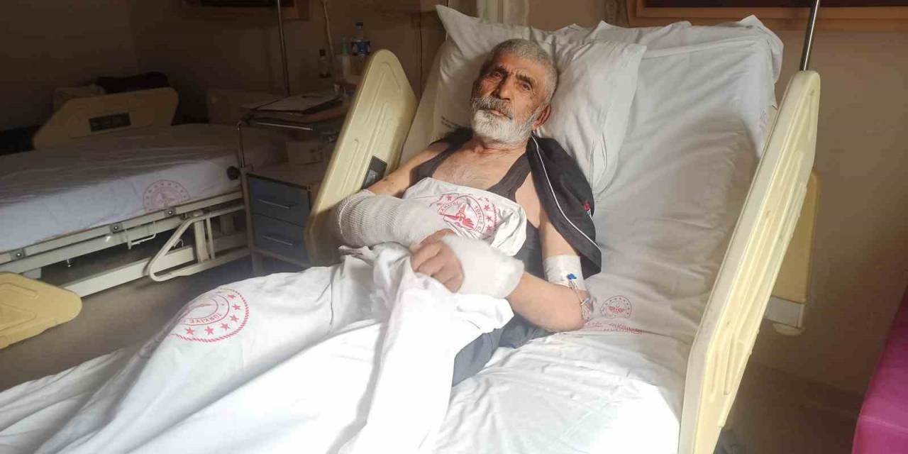 Artvin’de Ayı Saldırısından Komşularının Ayıyı Öldürmesi İle Kurtulan Yaşlı Adam O Anları Anlattı