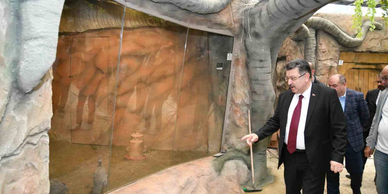 Trabzon Kuş Parkı Yarın Açılıyor