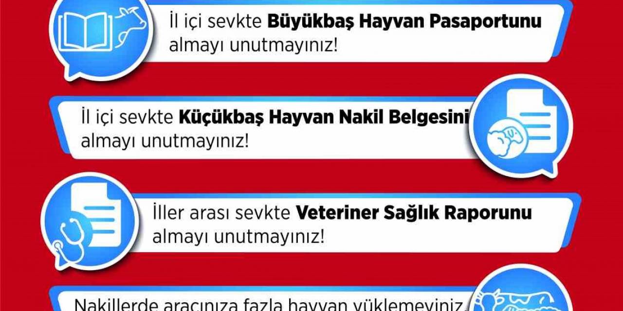 Hayvan Hareketleri Kontrol Altında