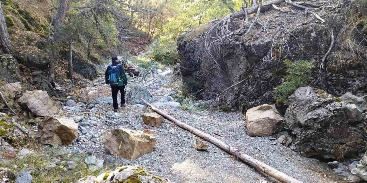 Domaniç’te Kaybolan Yaşlı Adam İçin Arama Çalışması