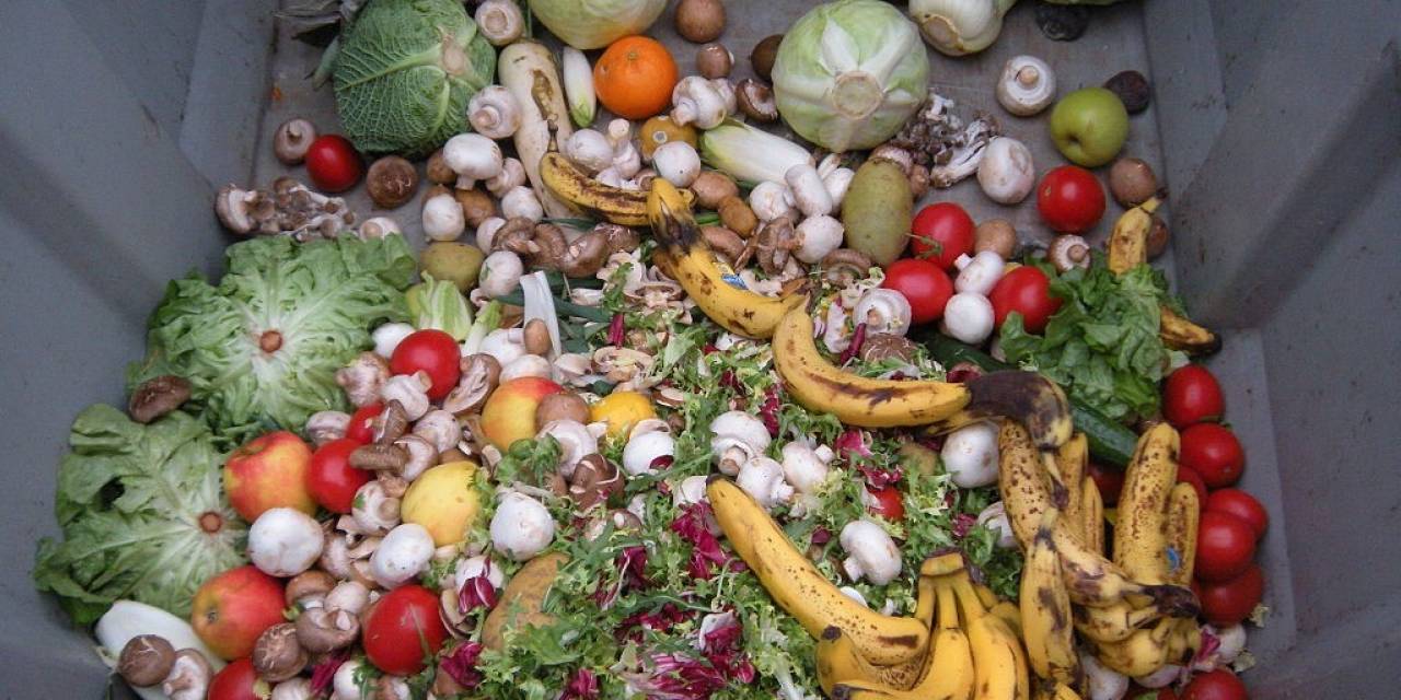 İsrafın Boyutu: Türkiye’de Çöpe Atılan Ekmeklerle Her Yıl 500 Okul Yapılabilir