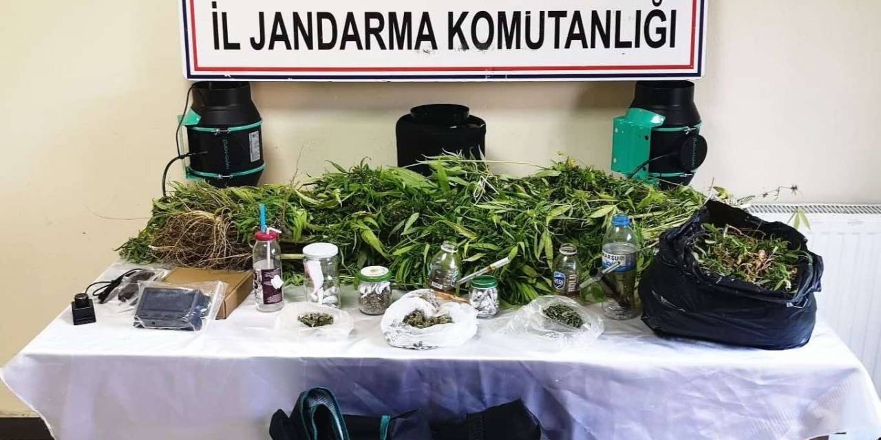 Niğde’de Jandarmadan Uyuşturucu Operasyonu: 1 Gözaltı