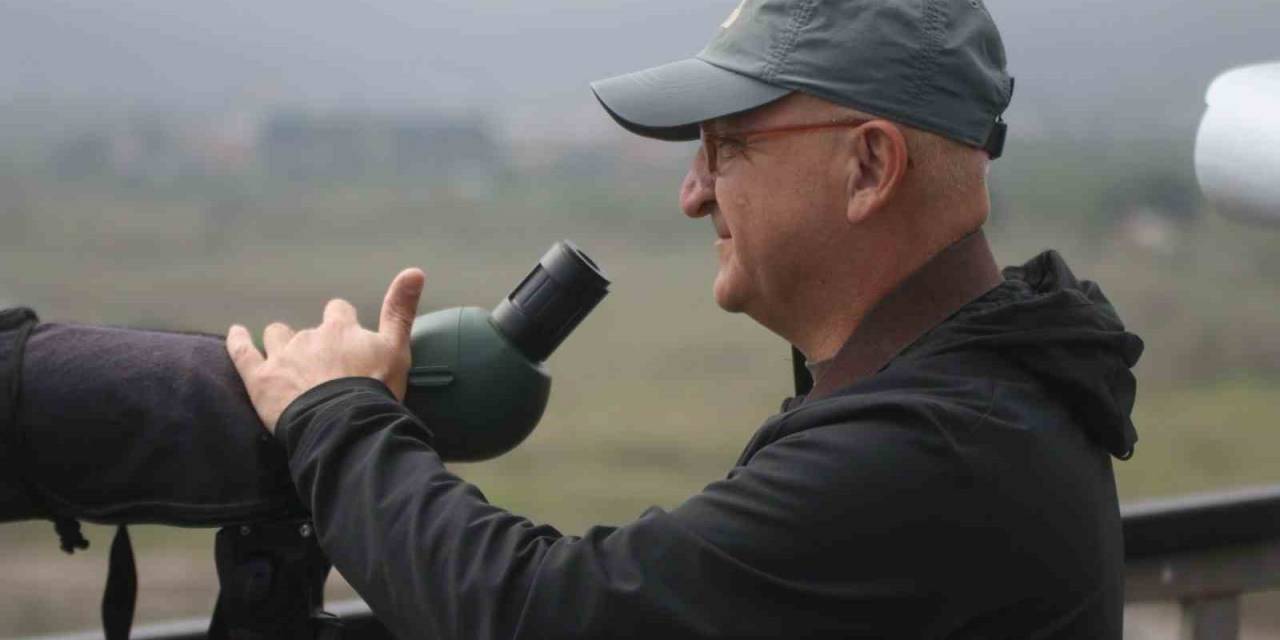 Soyu Azalmakta Olan "Kayın Baştankarası", Hersek Lagününde Gözlemlenerek Kayıt Altına Alındı