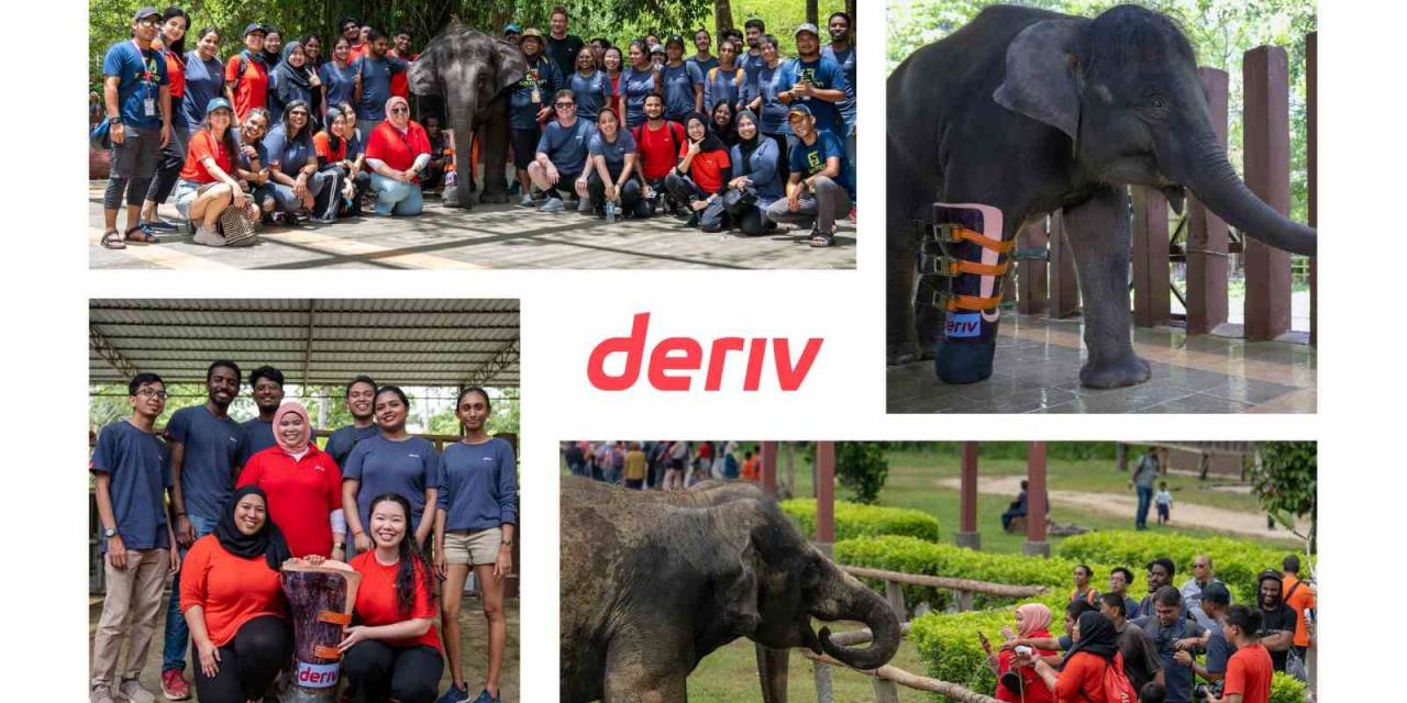 Fintech Şirketi Sosyal Ve Çevresel Amaçlara Olan Bağlılığını Güçlendiriyor