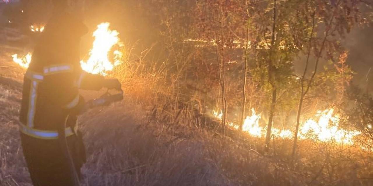 Lüleburgaz Tem Otoyolu Kenarında Yangın: Sürücüler Zor Anlar Yaşadı