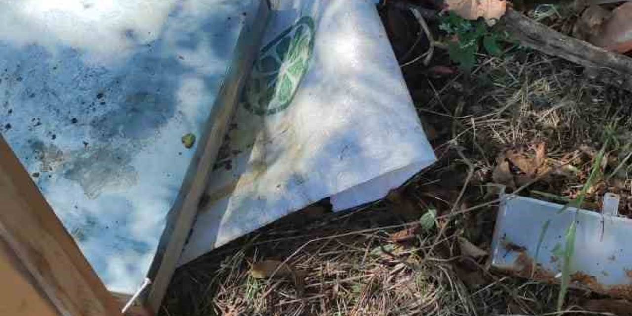 Bahçeye Giren Ayılar Arı Kovanlarına Ve Çevreye Zarar Verdi