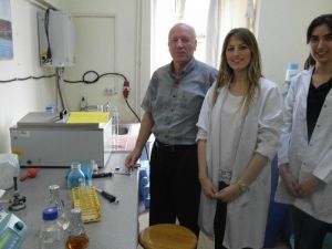 “Bursa’da Yemeklik Ve Yağlık Zeytini Ayırt Edecek Genetik Uzmanı Yok”