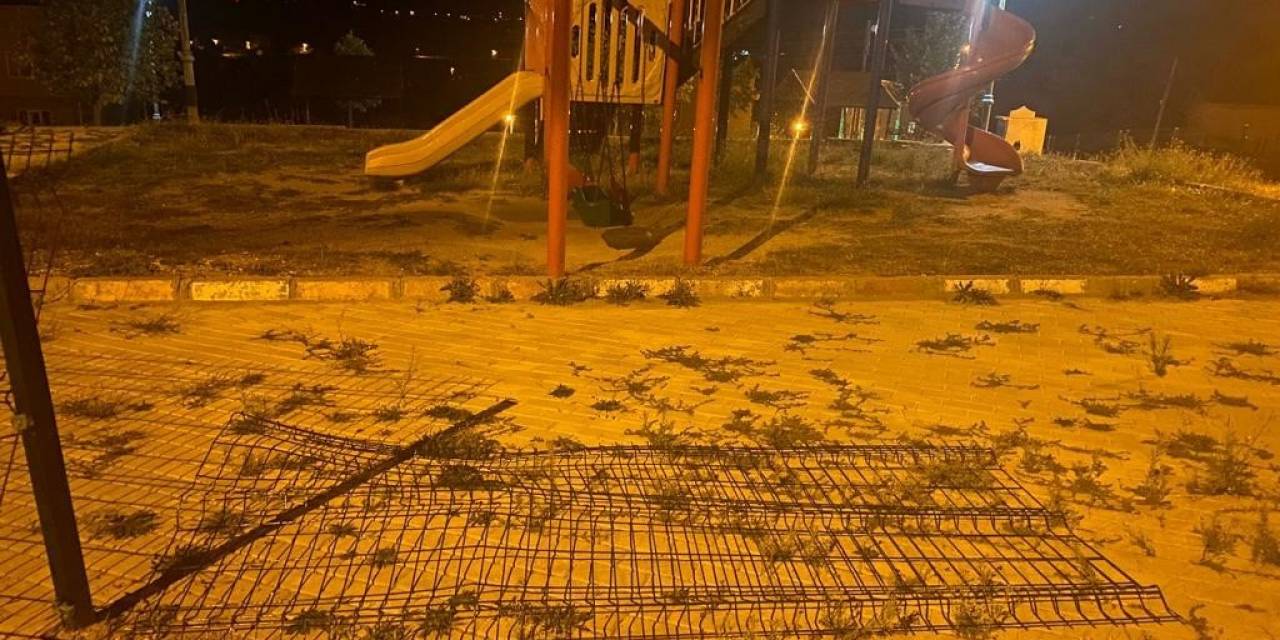 Domaniç’te Ayı Paniği