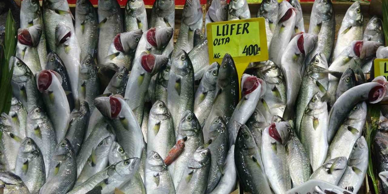 Denizlerin Prensi ’lüfer’ Yarı Yarıya Ucuzladı