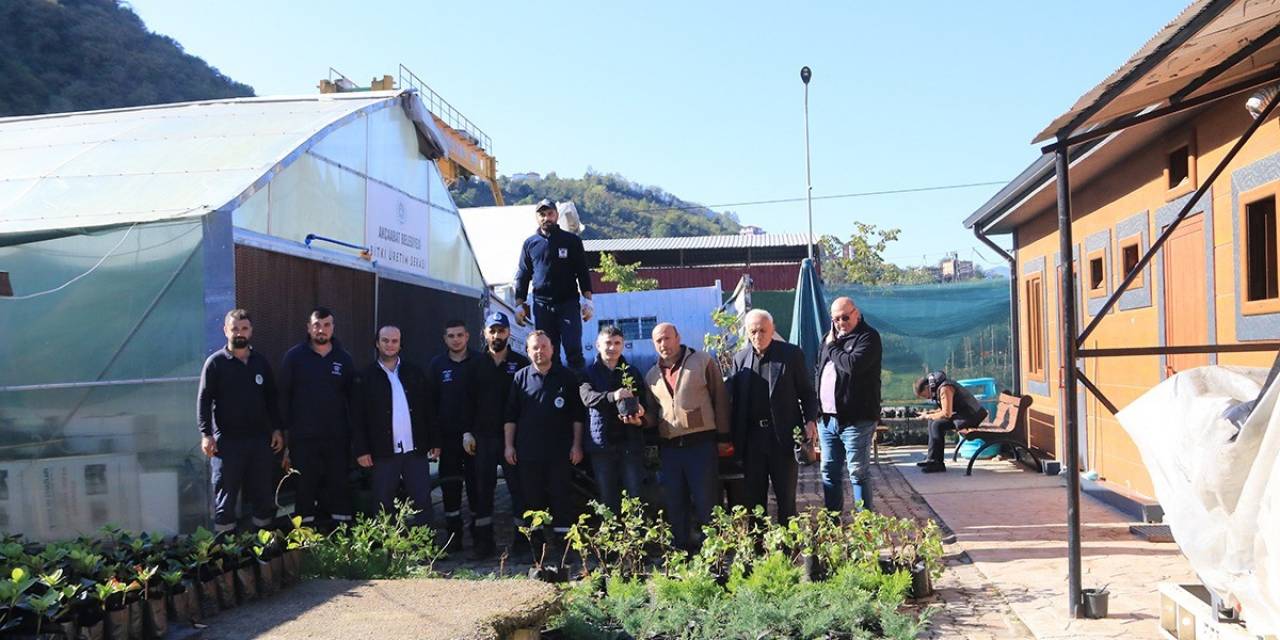 Akçaabat’ta Aronya Fideleri Çiftçilere Dağıtıldı