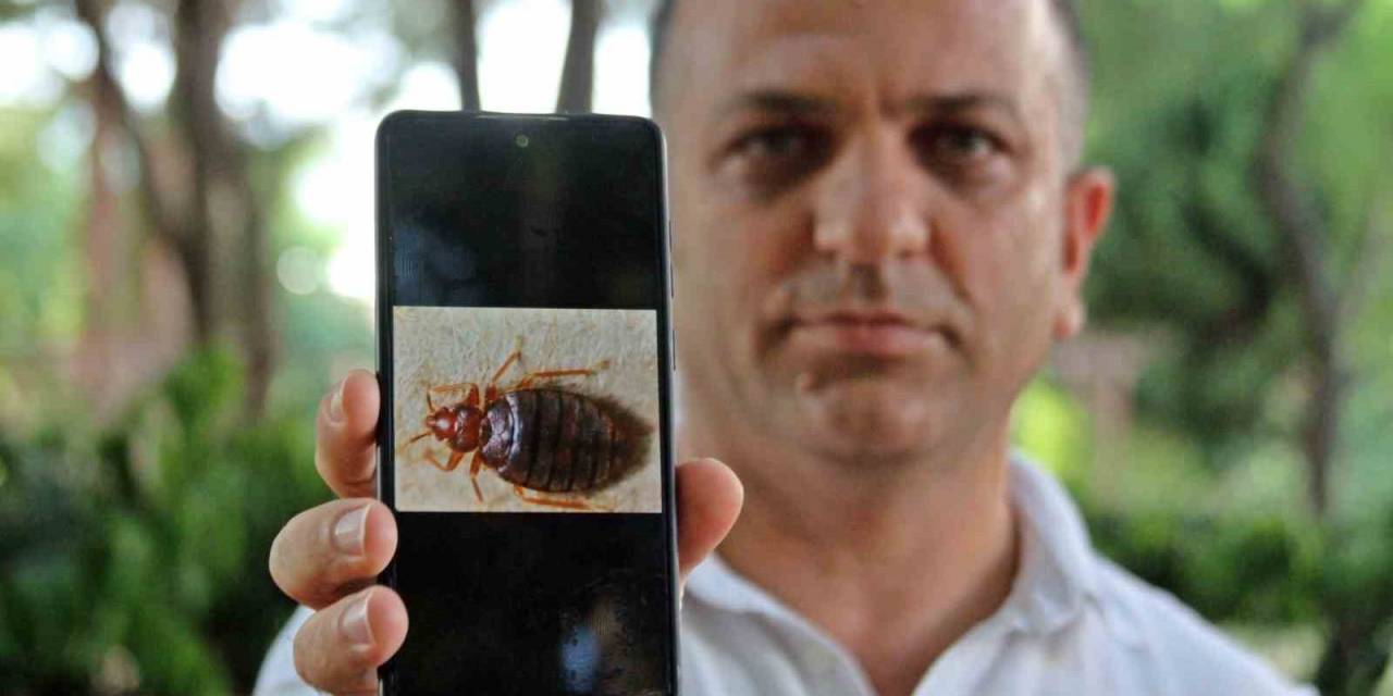 Geceleri Saklanıyorlar, İnsanın Uyumasını Bekleyip Kanını Emiyorlar