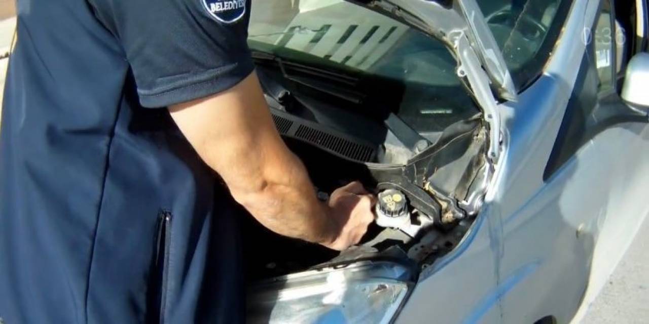 Otomobilin Motor Kısmına Giren Kedi Kurtarıldı