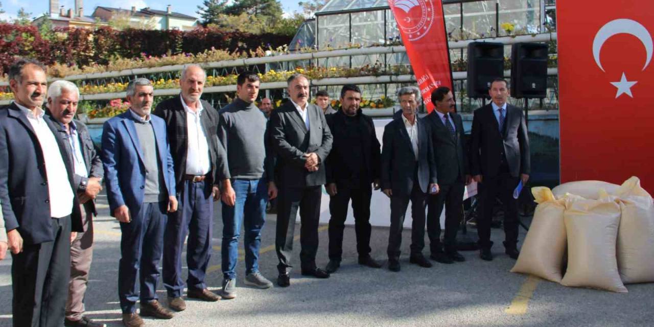 Çiftçilere Buğday Tohumu Dağıtıldı