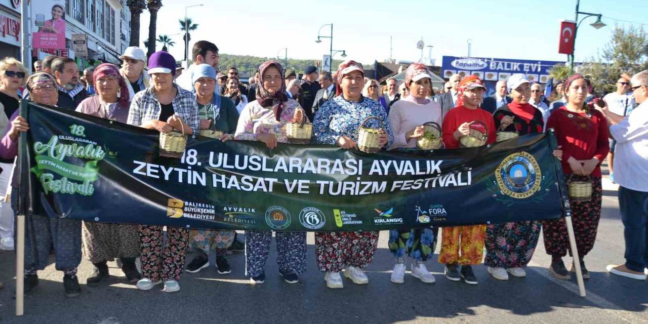 18. Ayvalık Uluslararası Zeytin Hasat Festivali Başladı