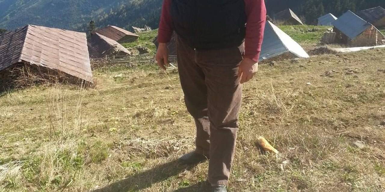 Odun Yaparken Hayatını Kaybetti