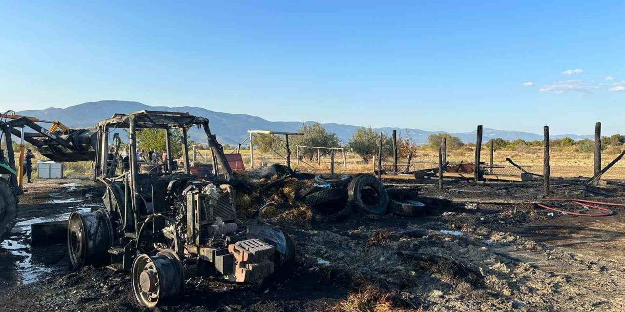 Samanlık Yangınında Traktör Ve Saman Balyaları Küle Döndü, 2 Hayvan Telef Oldu