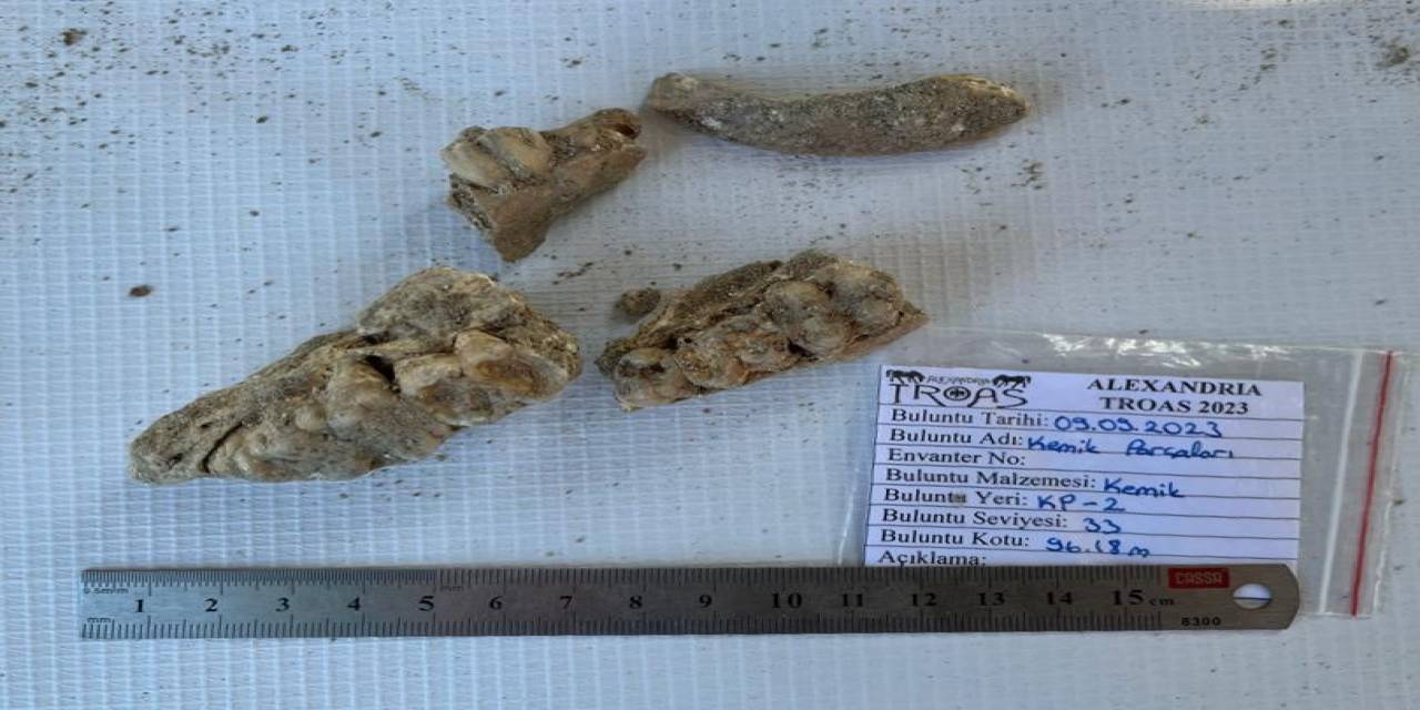 2400 Yılık Antik Kentte Salgın Araştırması