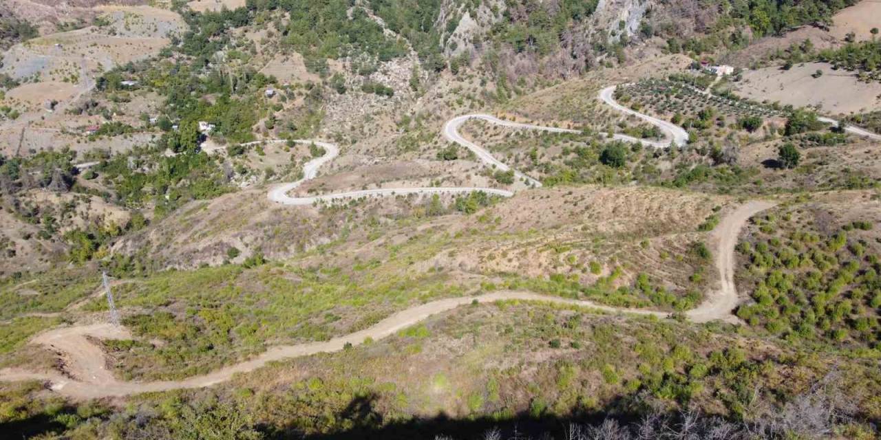 Adana’da Yanan Orman Ve Bahçeler Devlet Desteği İle Yeniden Yeşerdi