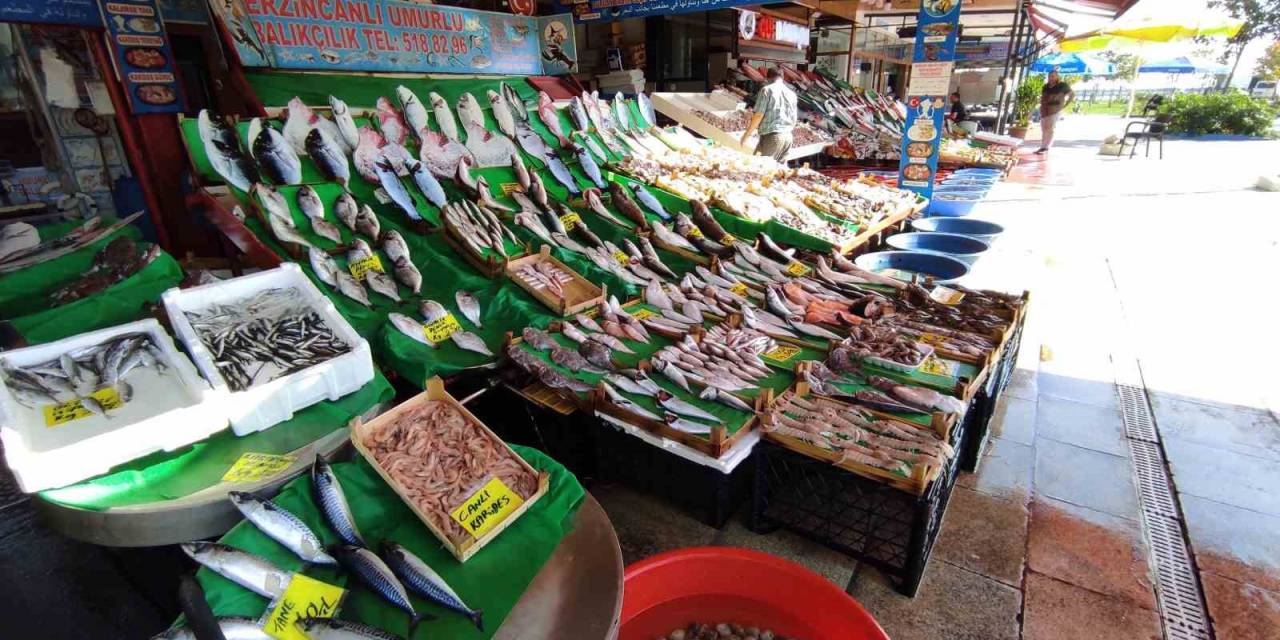 Balık Tezgahlarında Lüfer Bolluğu: Fiyatı Yarı Yarıya Düştü