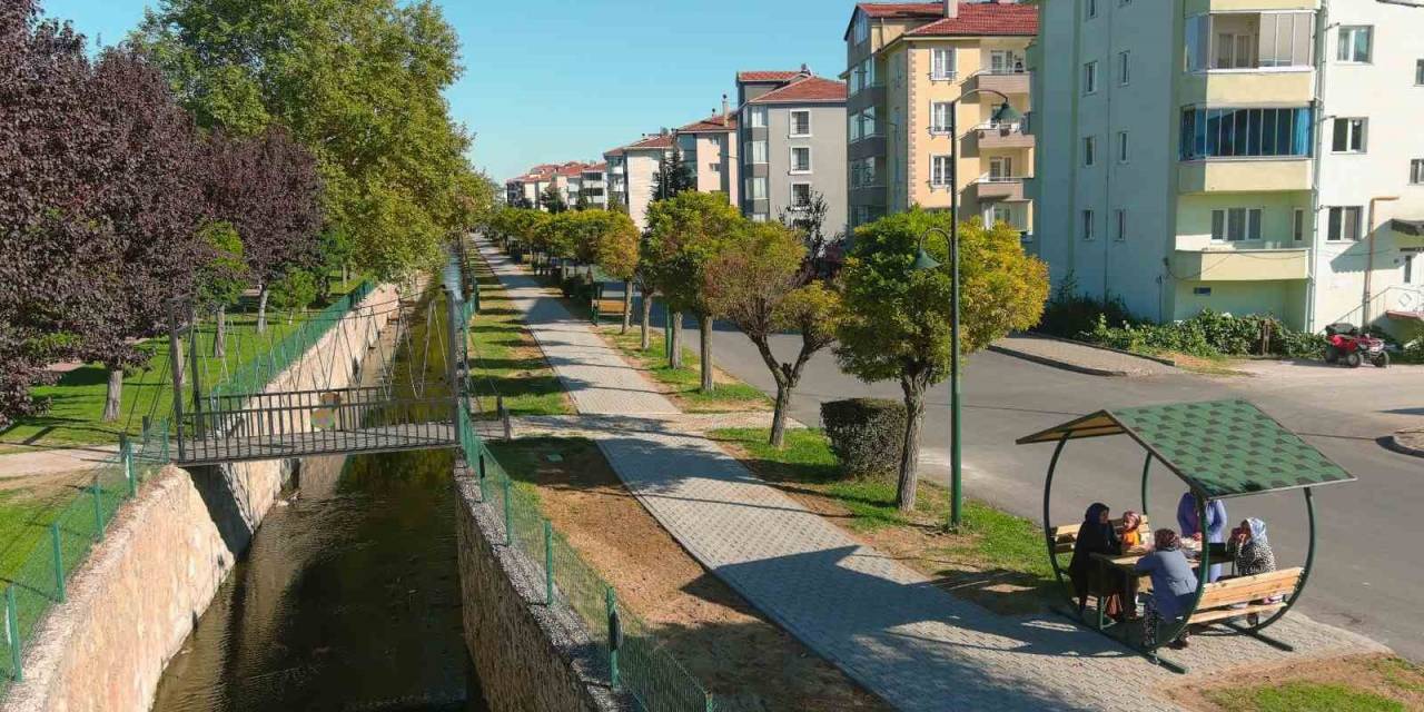 Kanal Boyuna Yeni Yürüyüş Yolu Ve Kamelyalar