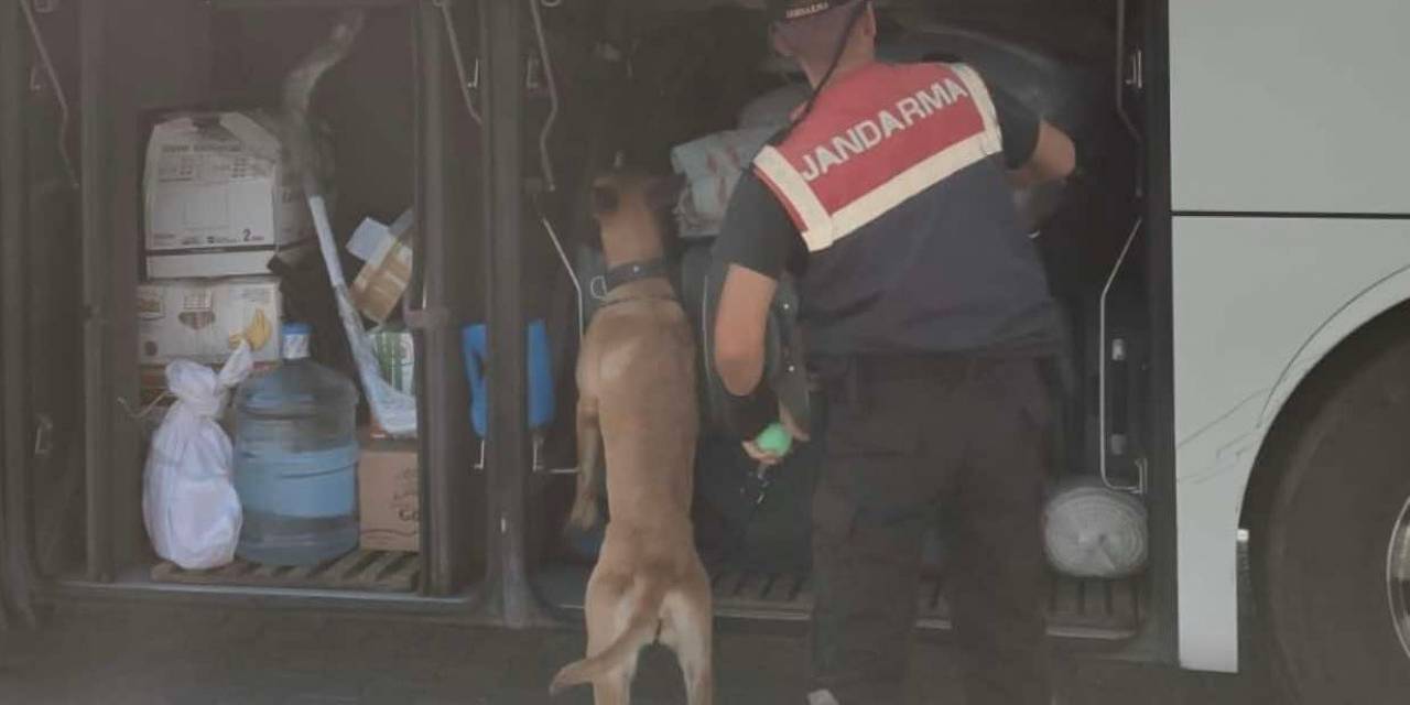 Aydın’da Jandarma Ekipleri Düzensiz Göçe Geçit Vermiyor