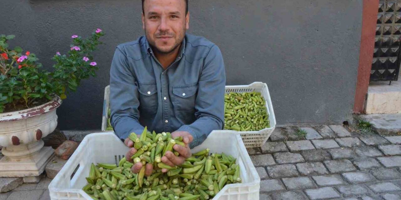 Aydın Ekonomisine 5 Ayda 50 Milyon Katkı Sağlıyorlar