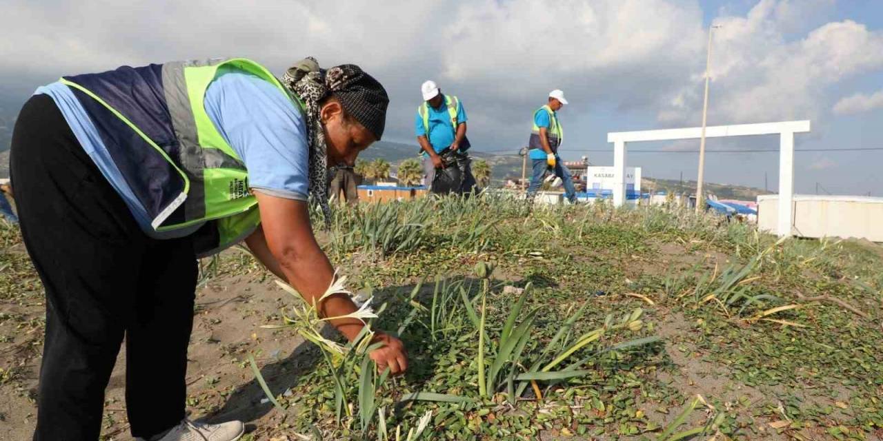 Hatay’ın Denizi Ve Kıyıları Temizleniyor