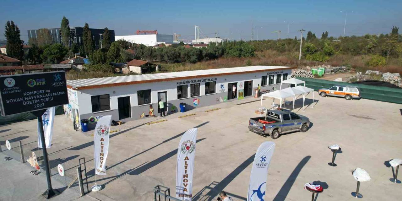 Yalova’da Tersanelerdeki Artık Yemekler Kedi Ve Köpekler İçin Mama Oluyor