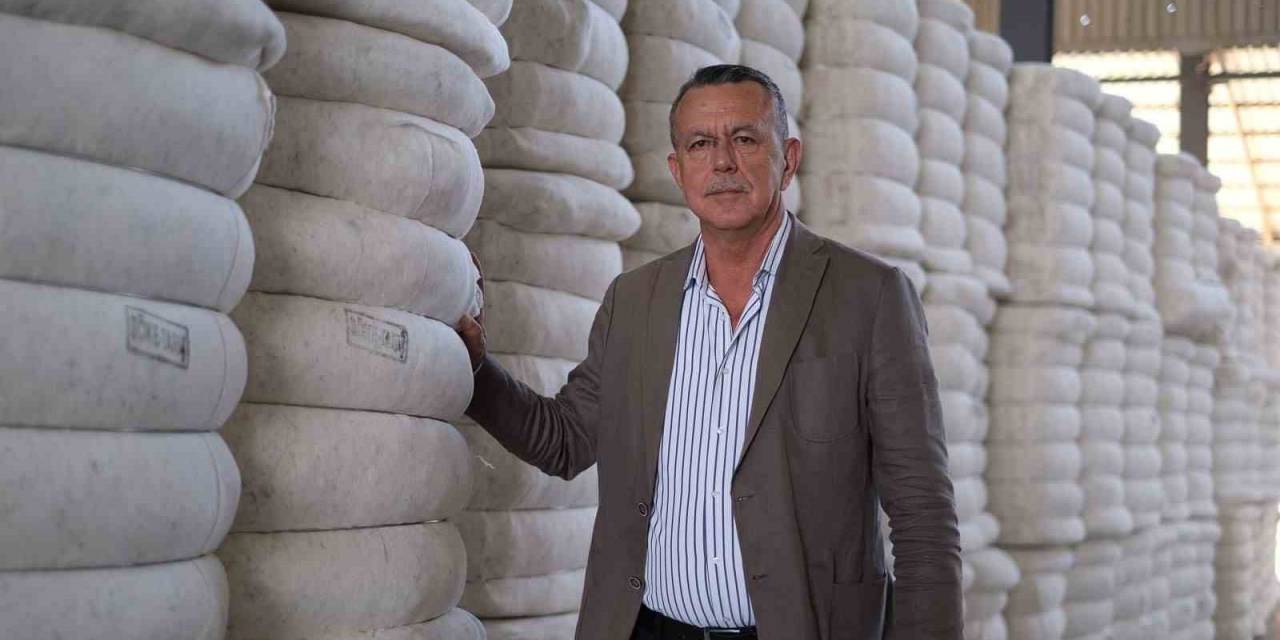 Söke Tariş, Rekor Pamuk Alımına Doğru Koşuyor