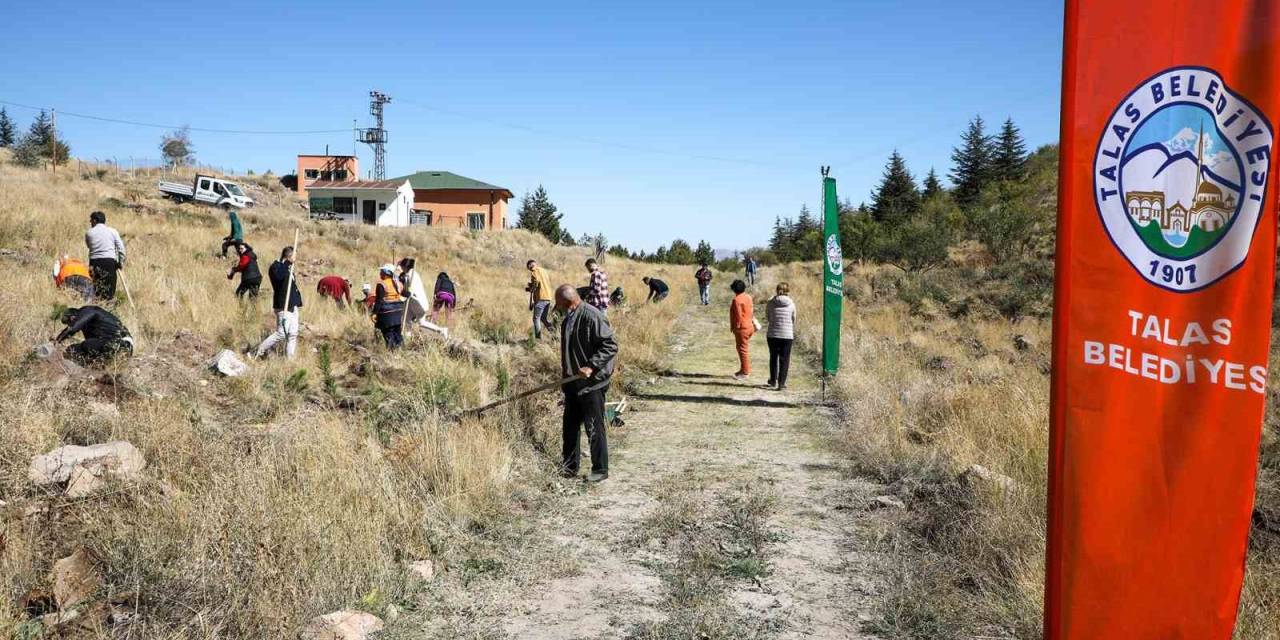 Ali Dağı’na Ağaç Dikmeye Devam