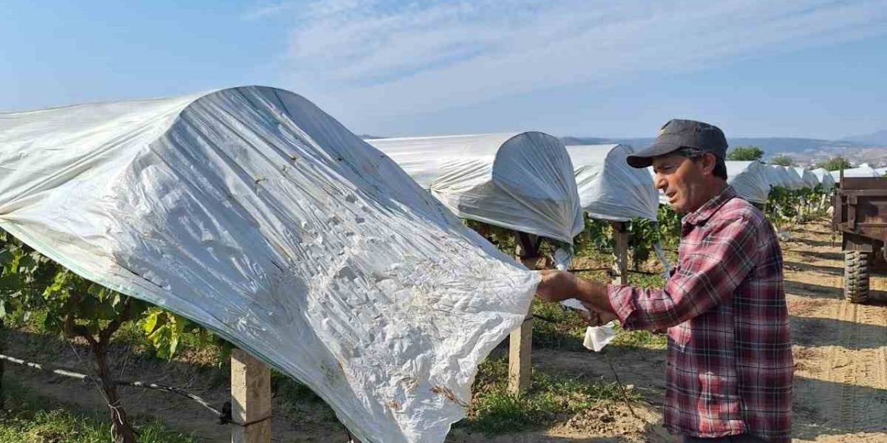 Görevini Tamamlayan Koruyucu Örtüler Toplanmaya Başladı