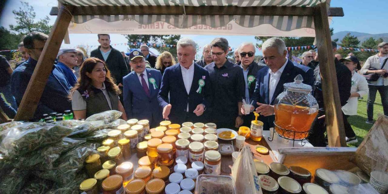 Safran Festivali Etkinlikleri Tamamlandı