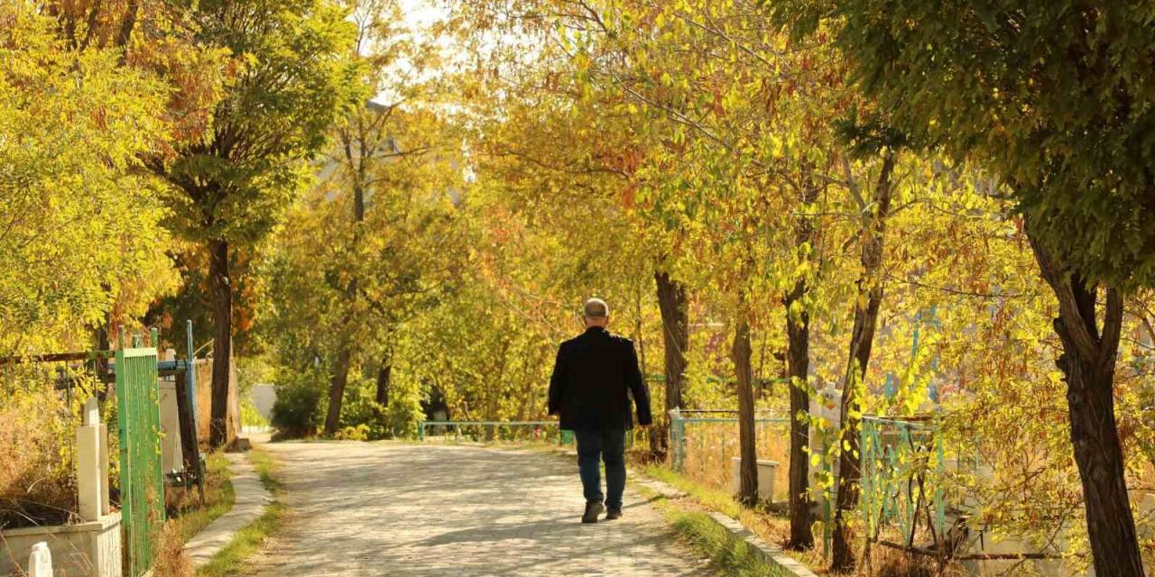 Ağrı’da Sonbahar Güzelliği Hayran Bırakıyor