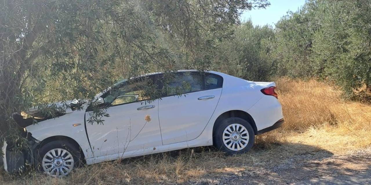 Çanakkale’de Otomobil Zeytin Ağacına Çarptı: 1 Ölü, 1 Yaralı