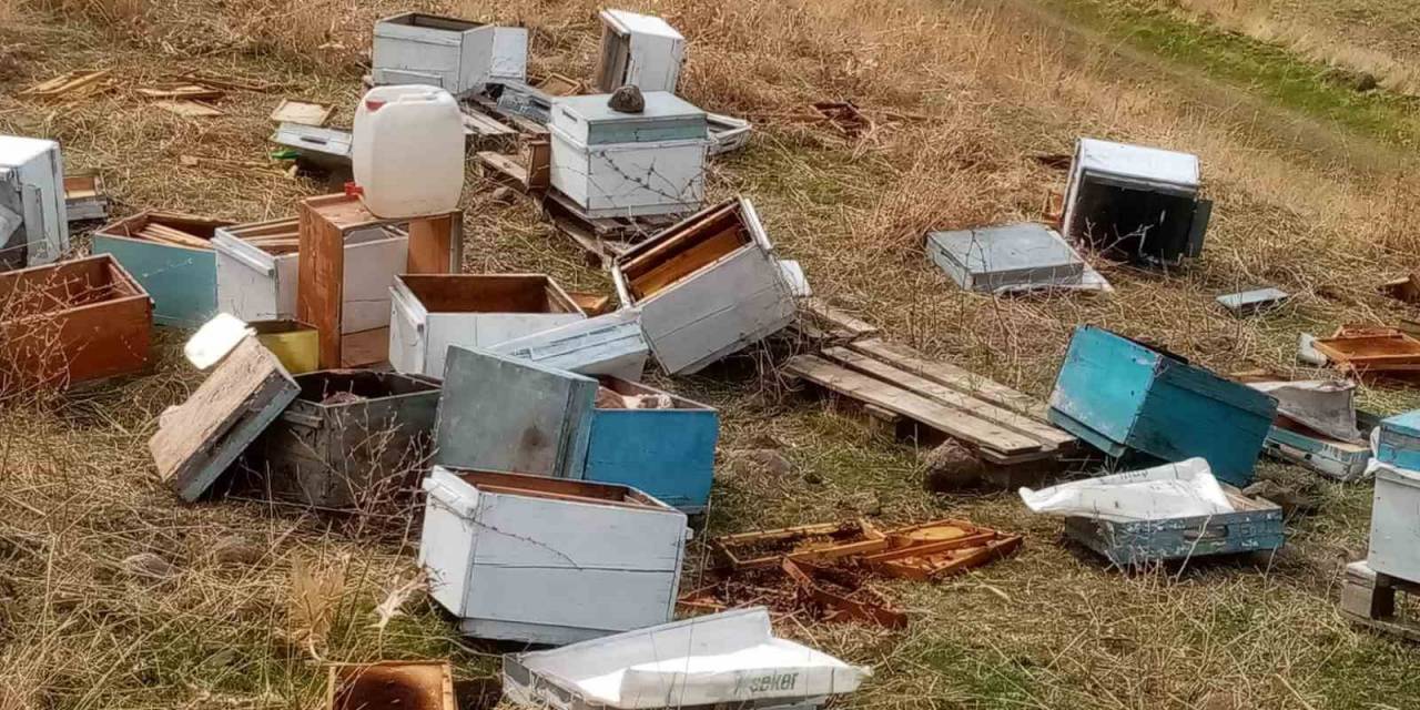 Muş’ta Aç Kalan Ayılar Arı Kovanları Parçaladı