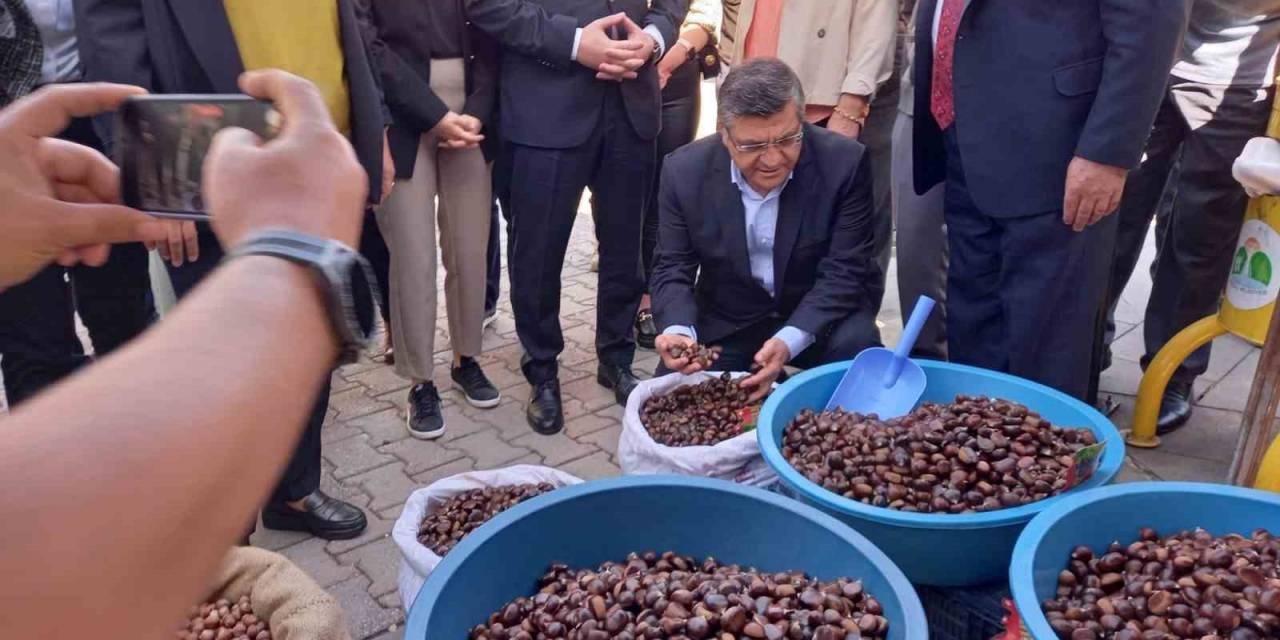 Sinop’ta Kestane Festivali: 1 Ton Kestane Tüketildi