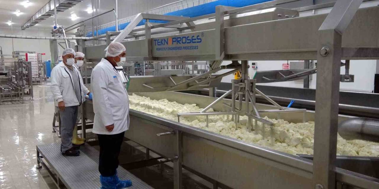 Türkiye’nin İlk Süt İşletme Tesisinde Bu Yıl İtibarıyla 6 Milyon 340 Bin Litre Süt İşlenerek 770 Ton Ürün Elde Edildi