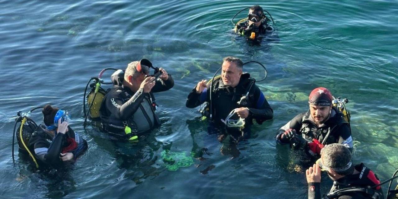 Bandırma Körfezini Pinalar Kurtaracak