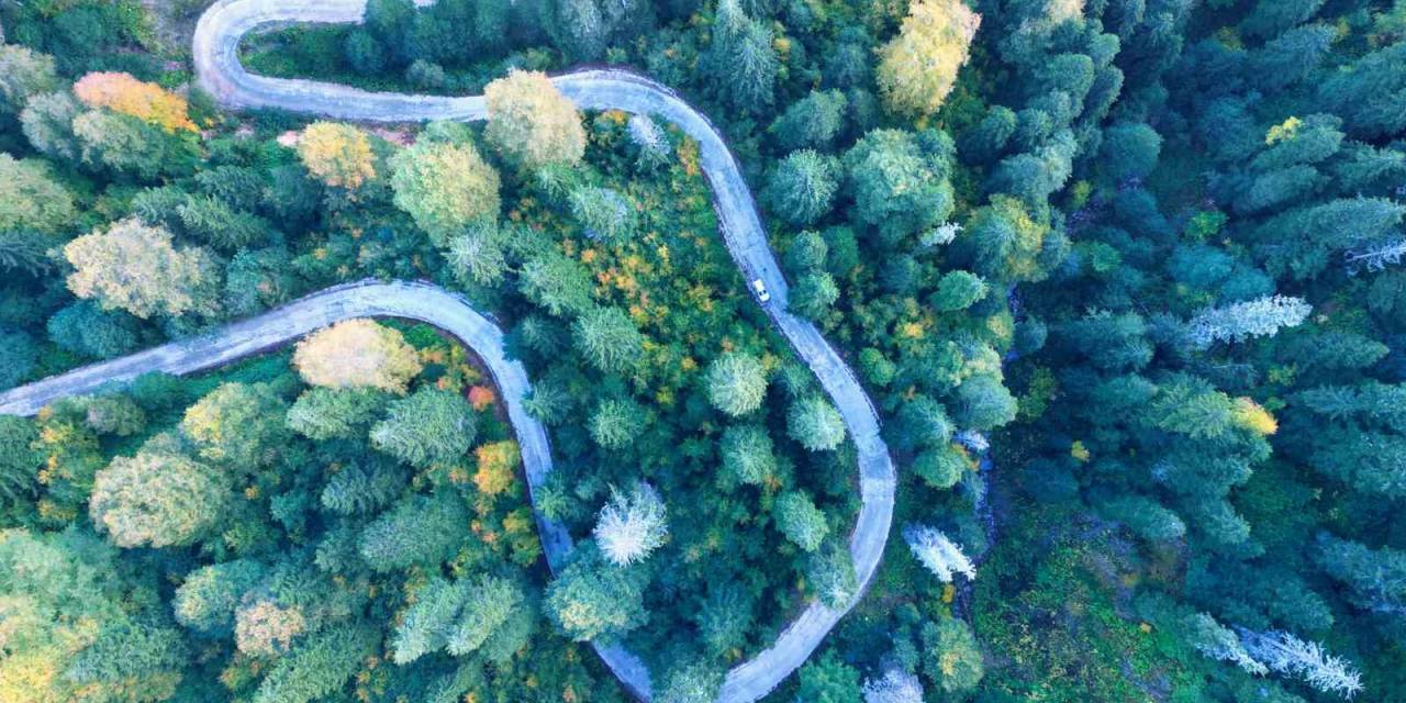 Gümüşhane’nin Örümcek Ormanları Sonbaharın Büyüsüne Kapıldı