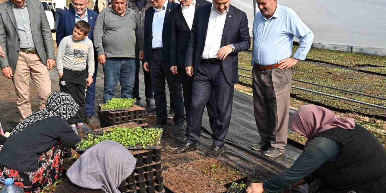 Bursa’nın Çiçekleri, Dağ Bölgesinde Açıyor