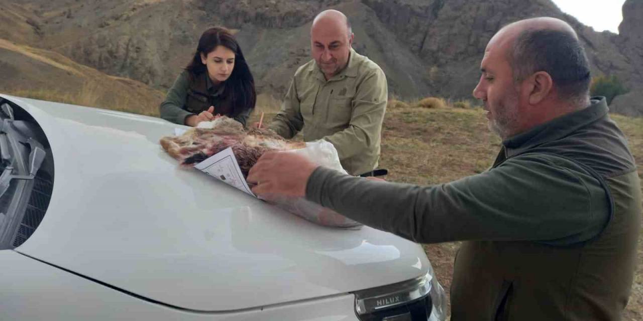 Özalp’ta Kaçak Avlanan 3 Kişi Hakkında İşlem Yapıldı