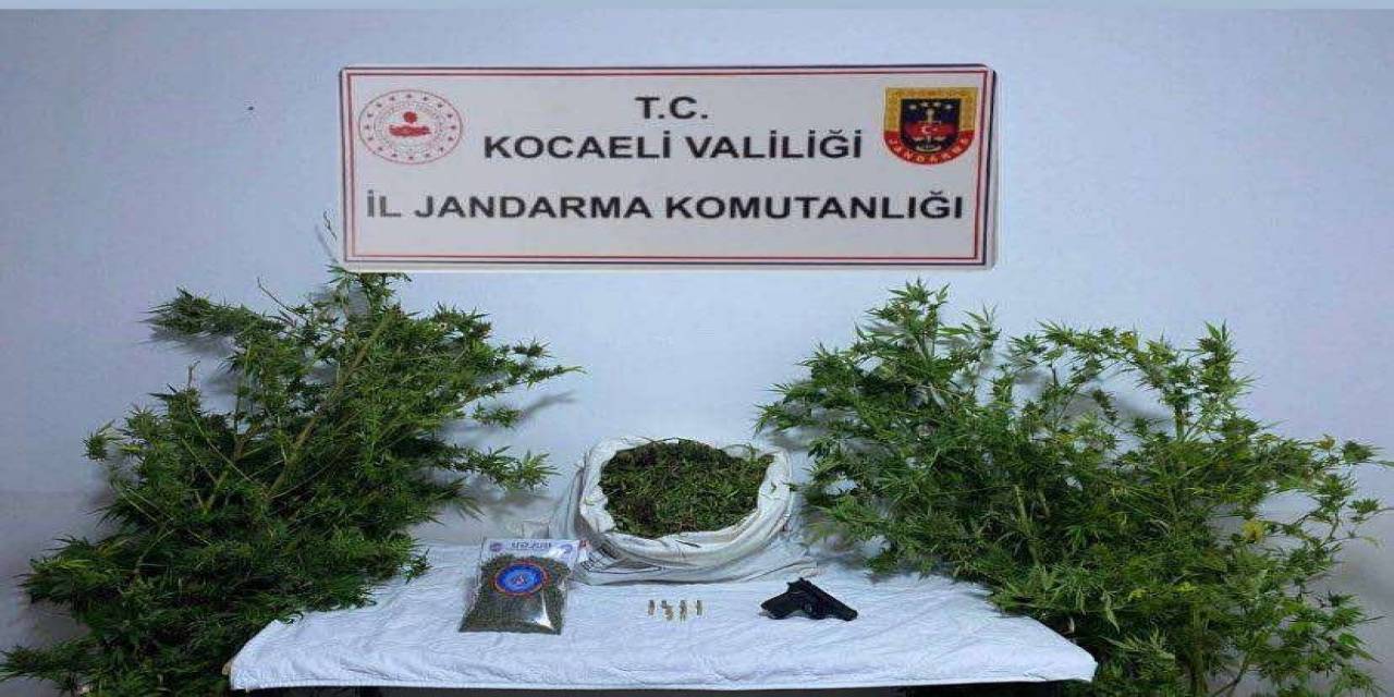 Kocaeli’de 3 İkamete Uyuşturucu Operasyonu