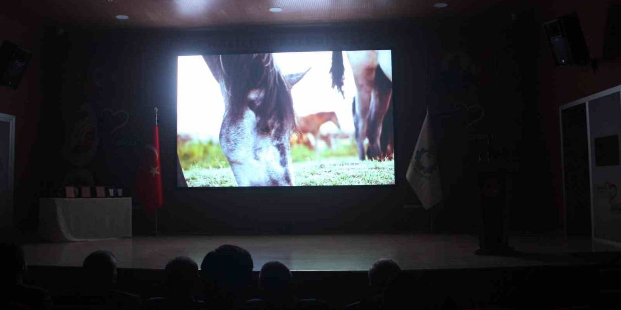 Uluslararası Göbeklitepe Kısa Film Festivali’ne 79 Ülkeden 953 Film Katıldı