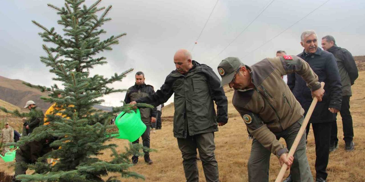 Palandöken’de 4 Bin Fidan Toprakla Buluştu