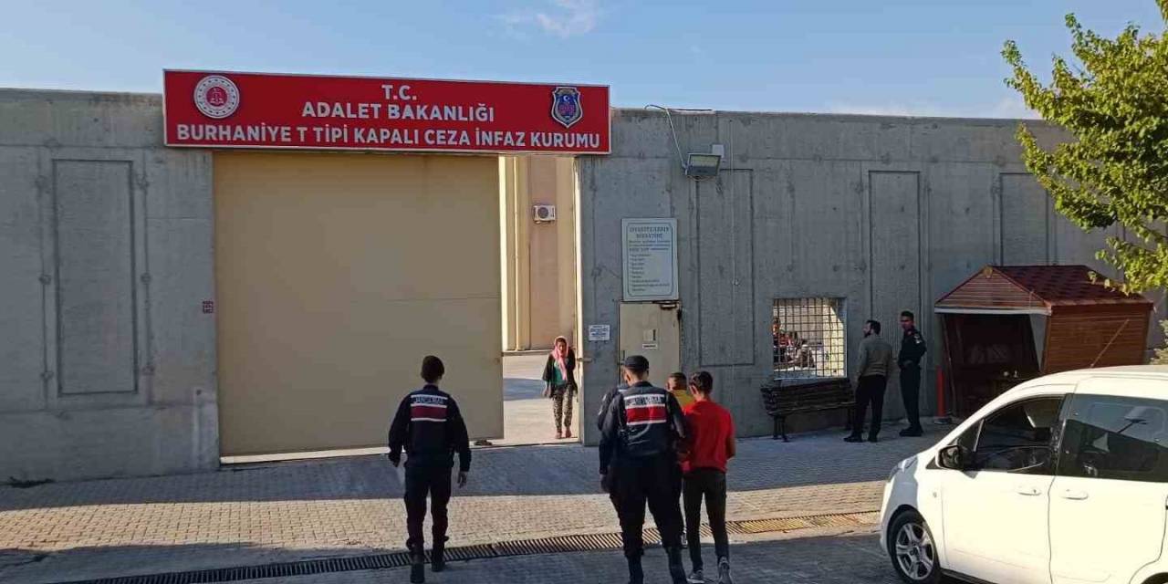Jandarma Devriyeleri Zeytin Hırsızlarına Göz Açtırmıyor