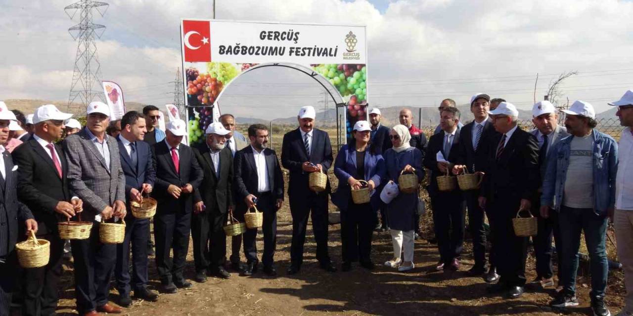 Gercüş’te Bağ Bozumu Ve Gastronomi Festivali